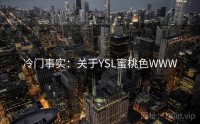 冷门事实：关于YSL蜜桃色WWW
