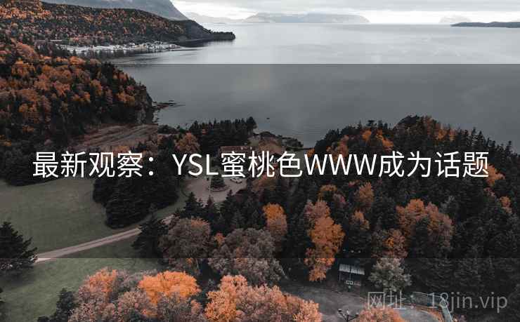 最新观察:YSL蜜桃色WWW成为话题 最新观察:YSL蜜桃色WWW成为话题